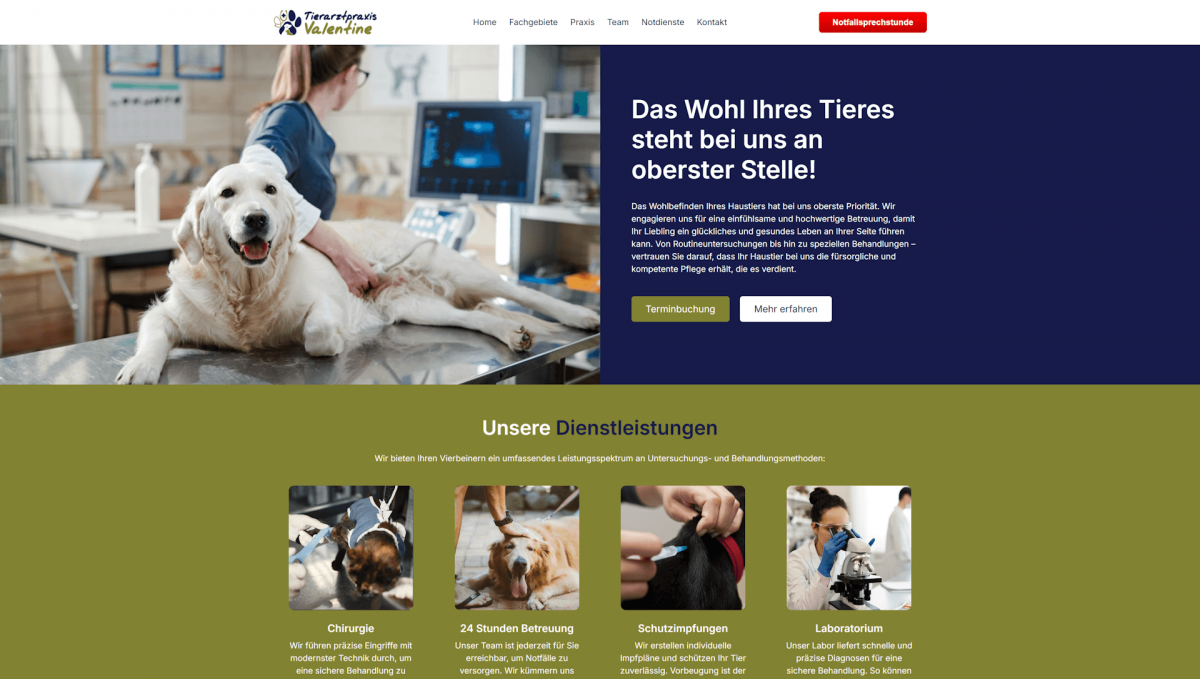 Professionelles Webdesign Design für kleine Unternehmen in Düren